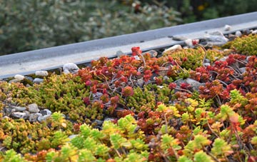 the cost of Kirktonhill green roof installation