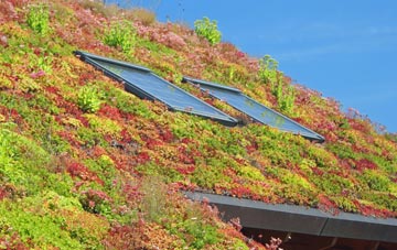 Kirktonhill living roof systems