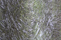 Kirktonhill fibreglass roof work